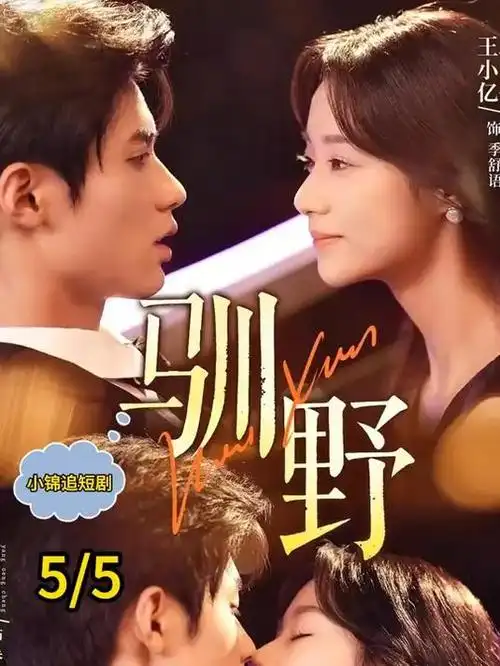 总裁的替身新娘 短剧封面